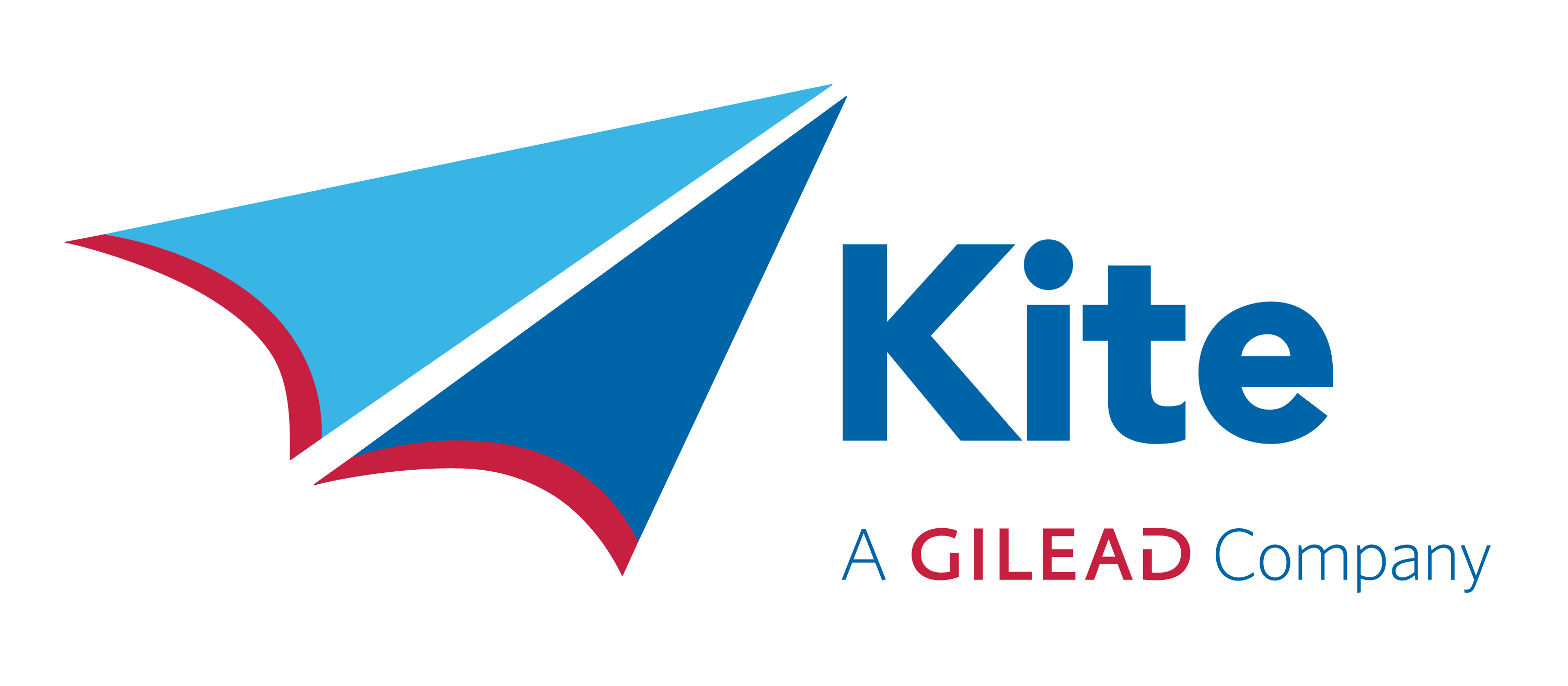 Kite