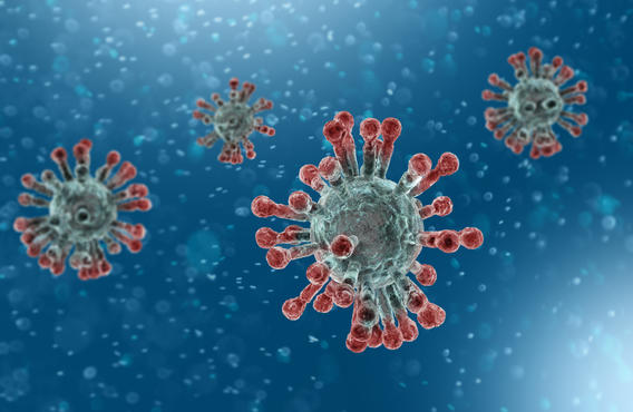 Covid 19 cells