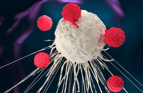 A graphical image of a CAR-T cell