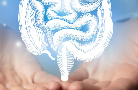 A pair of white hands holding up a holographically generated intestines.