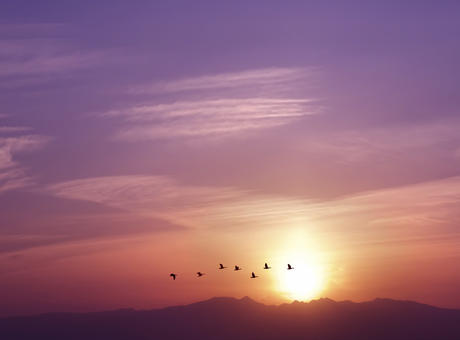 sunset
