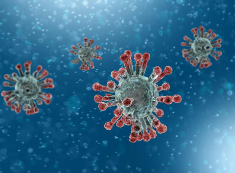 Covid 19 cells