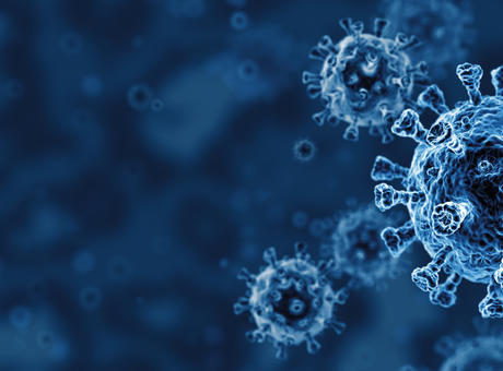 Covid 19 Cells