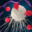CAR-T cell