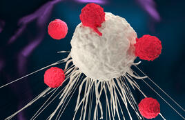 A graphical image of a CAR-T cell